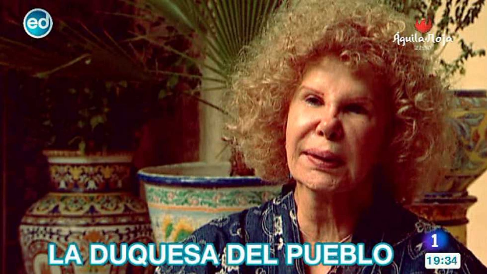 España Directo - 20/11/14 - ver ahora