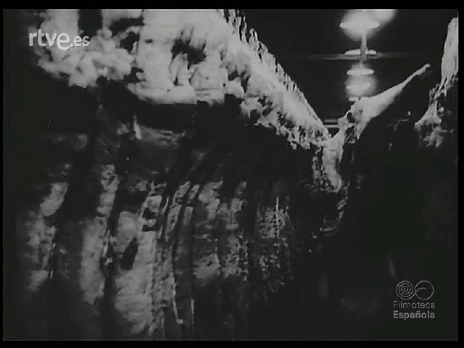 LAS CAMARAS VIAJAN - Revista Imágenes | Ver