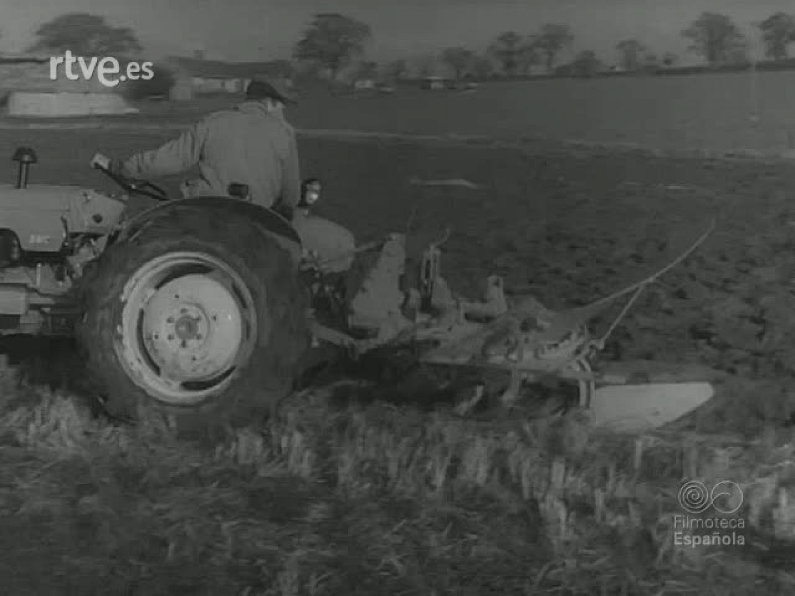 AL SERVICIO DEL HOMBRE - Revista Imágenes | Ver