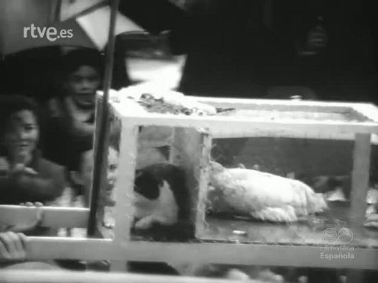 Revista Imágenes - SIGUIENDO LA CORRIENTE