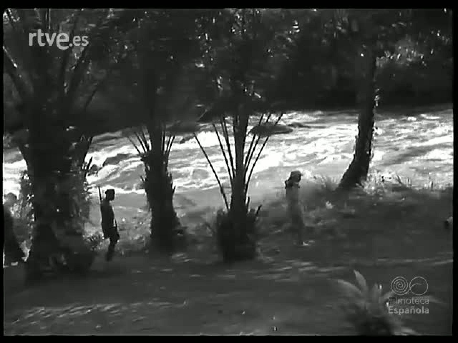 BLANCOS Y NEGROS: A LA BUSCA DEL ELEFANTE - Revista Imágenes | Ver