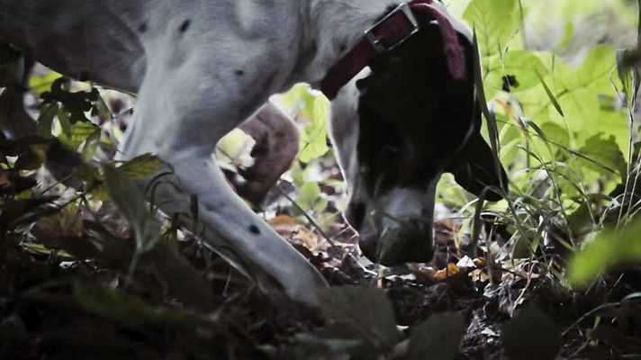 Jara y sedal - Tesoros del Río Mundo