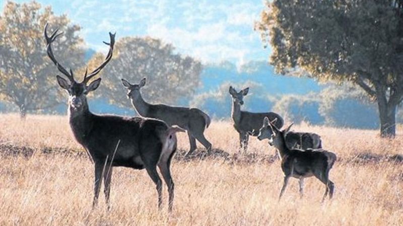 El Congreso de los Diputados aprueba la Ley de Parques Nacionales 