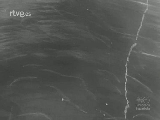 Revista Imágenes - ARTES DE PESCA