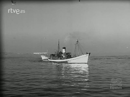 Revista Imágenes - ESTAMPAS DE NOCHEBUENA. DEL MAR A LA SIERRA