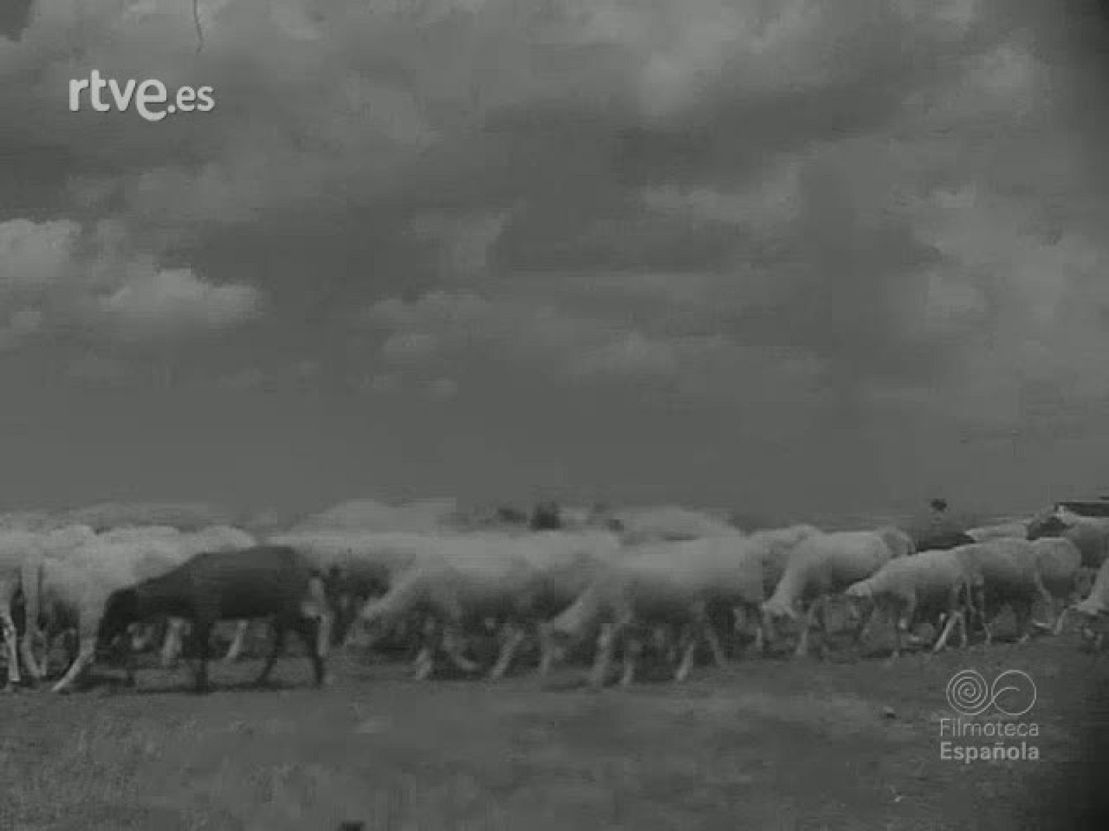 MOSAICO PALENTINO - Revista Imágenes | Ver