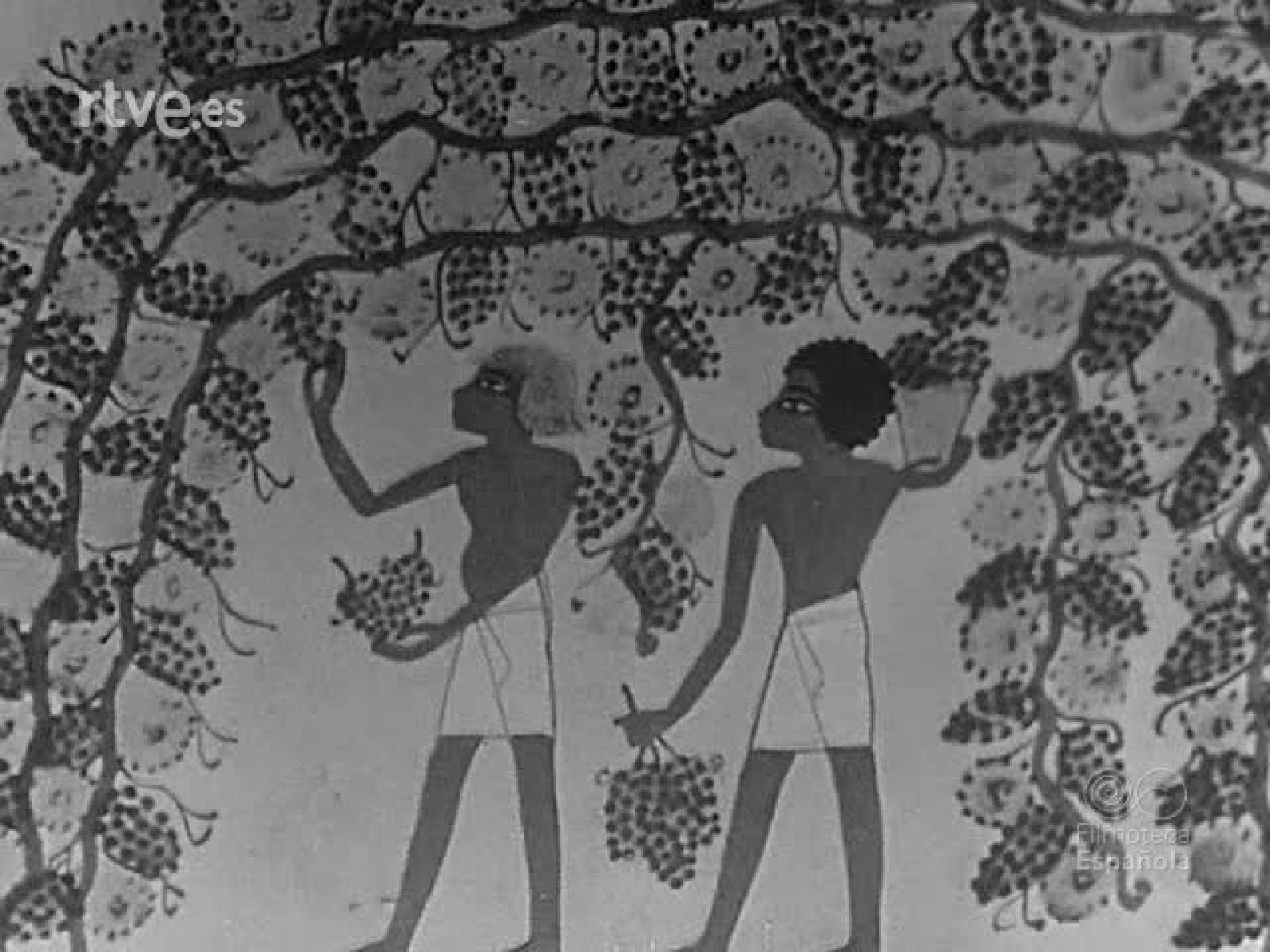 QUE ES LA PRODUCTIVIDAD - Revista Imágenes | Ver