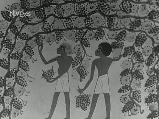 Revista Imágenes - QUE ES LA PRODUCTIVIDAD