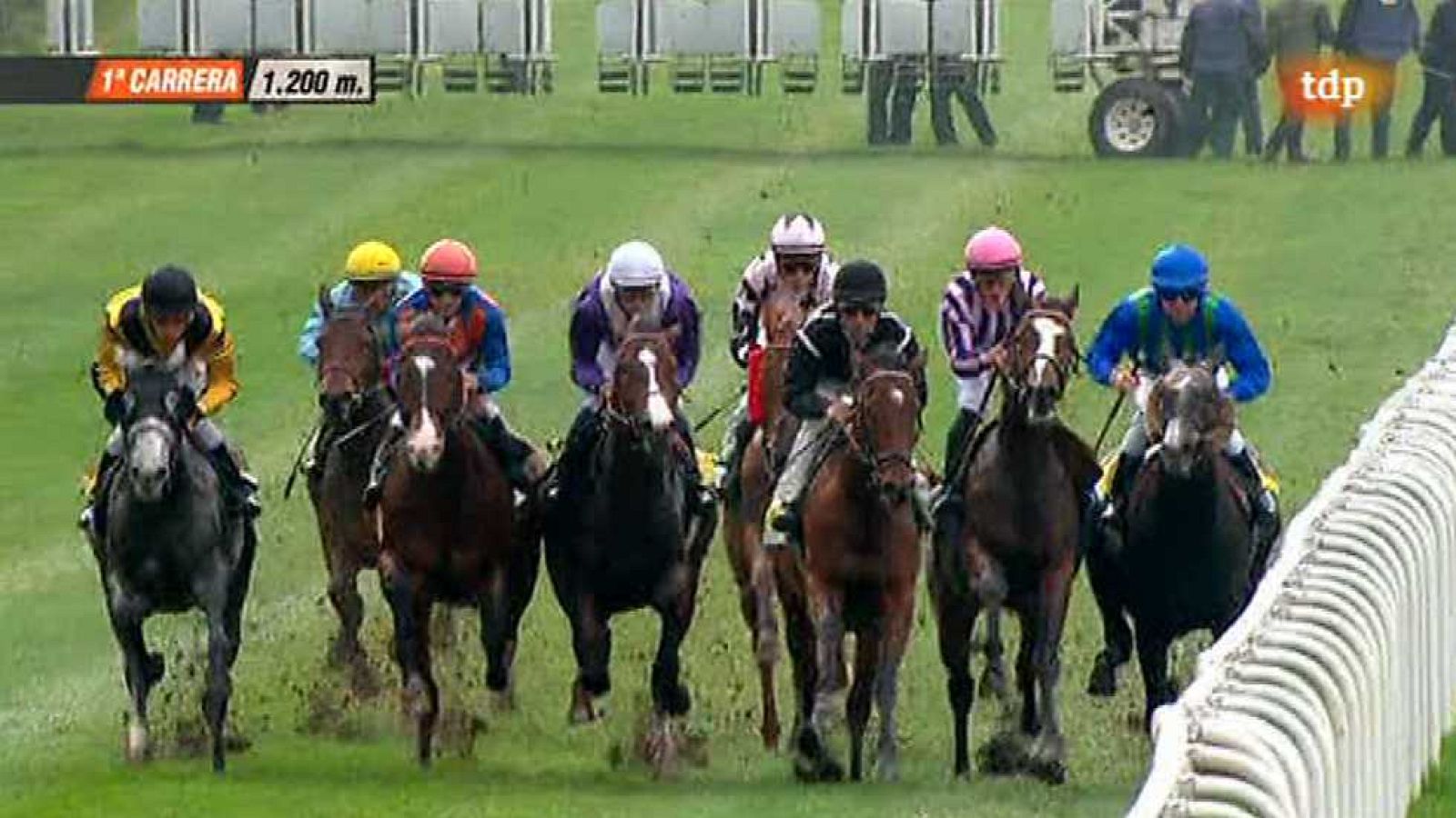 Turf - 23/11/14 - ver ahora