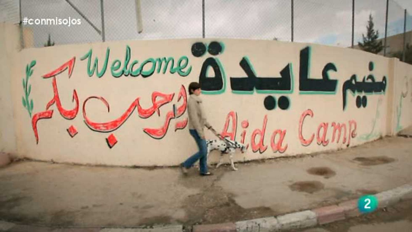 Con mis ojos - Palestina - Ver ahora