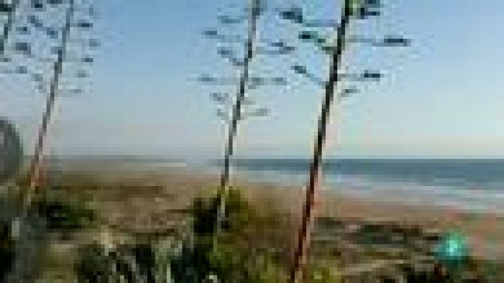 Fábrica de ideas - Innova: IAEA