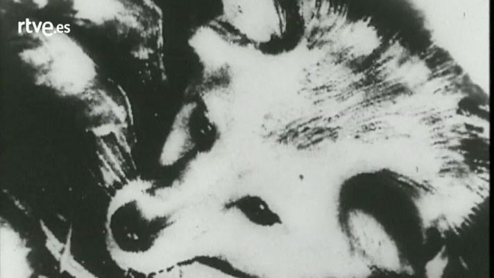Órbita Laika - Así se contó el lanzamiento de Laika