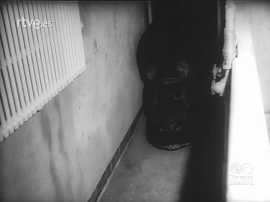 Revista Imágenes - DEL ZOO AL CIRCO