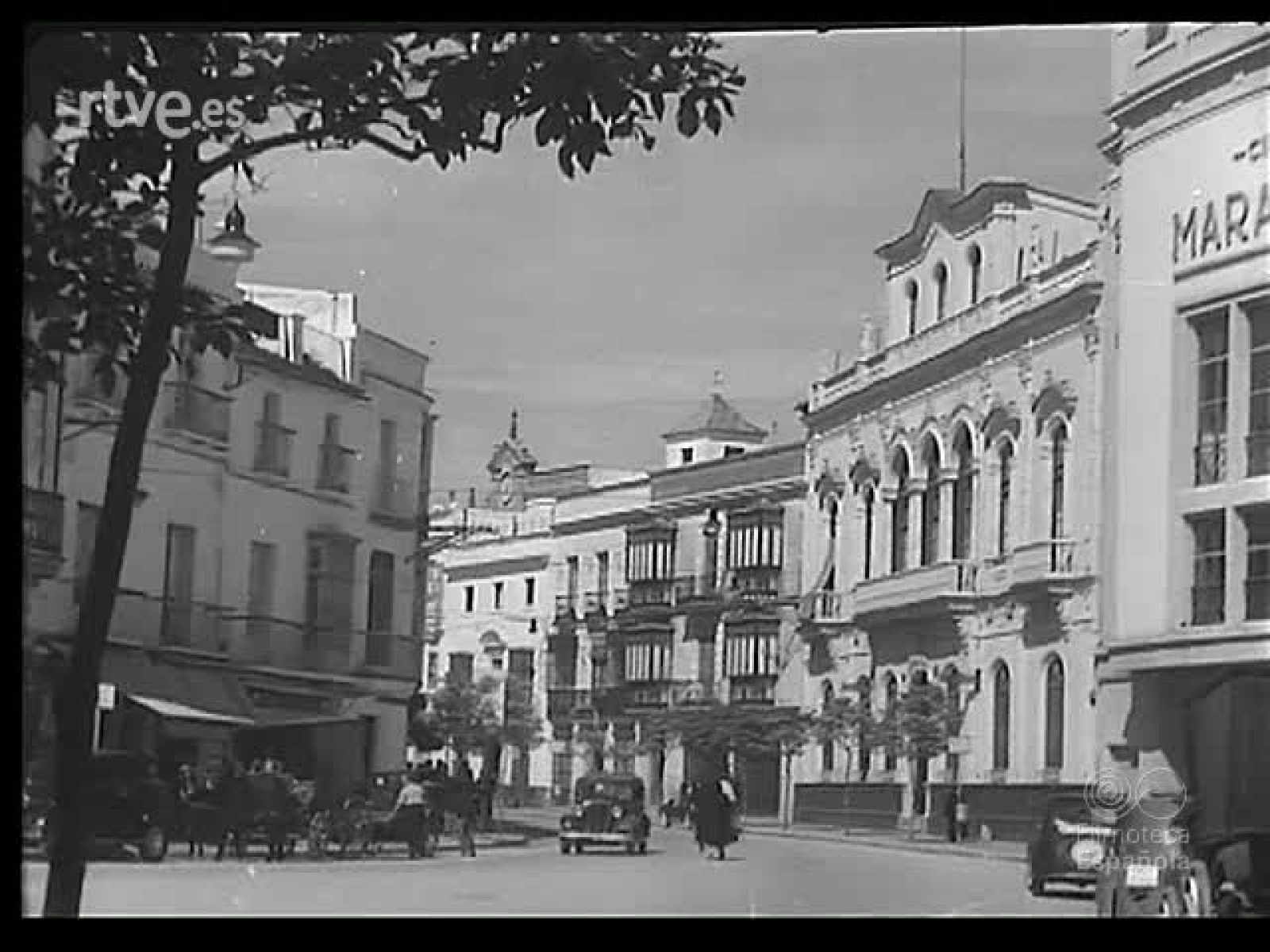 JEREZ ENTRE LOS VIÑEDOS - Revista Imágenes | Ver