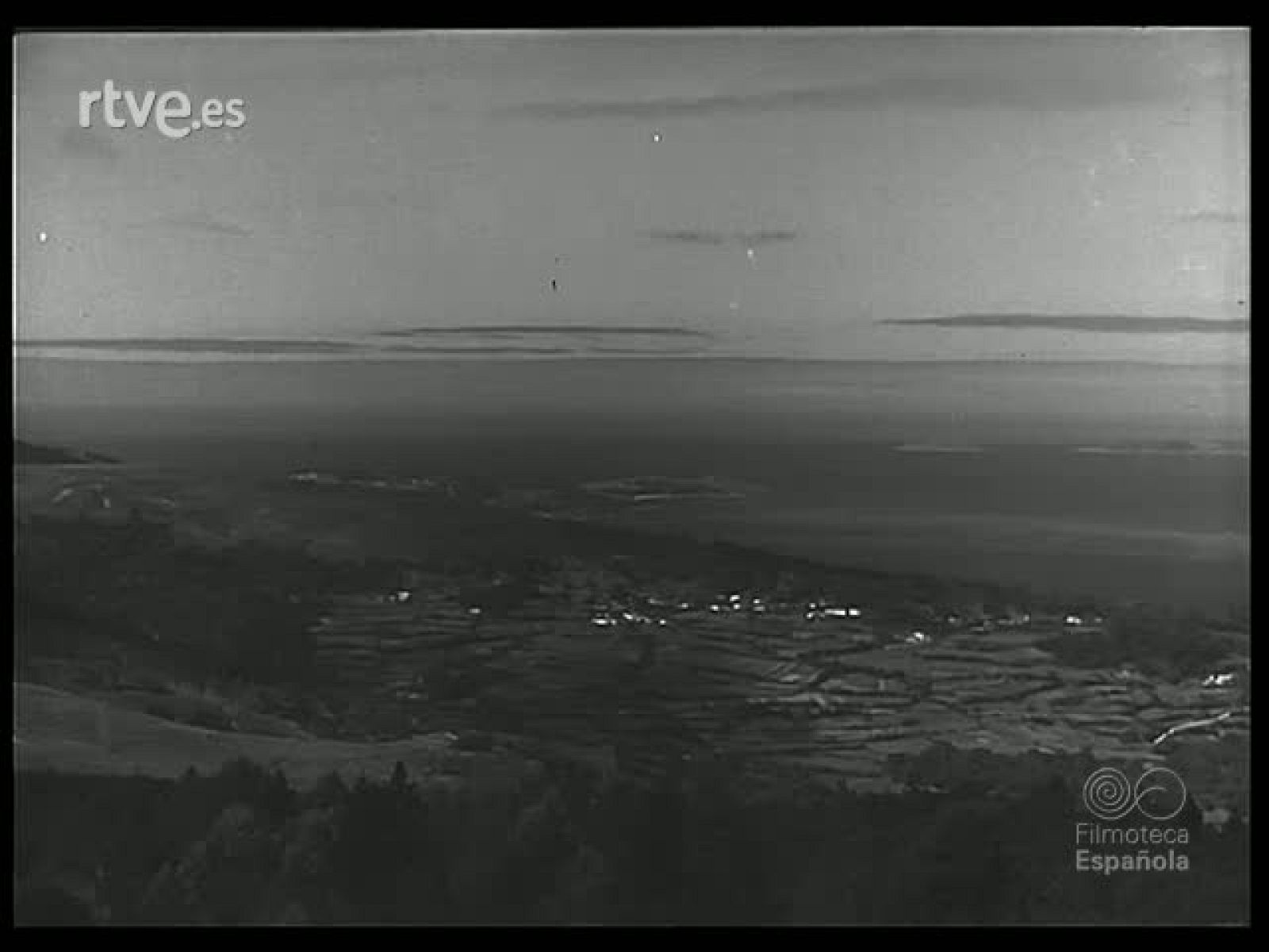 REPOBLACION FORESTAL - Revista Imágenes | Ver