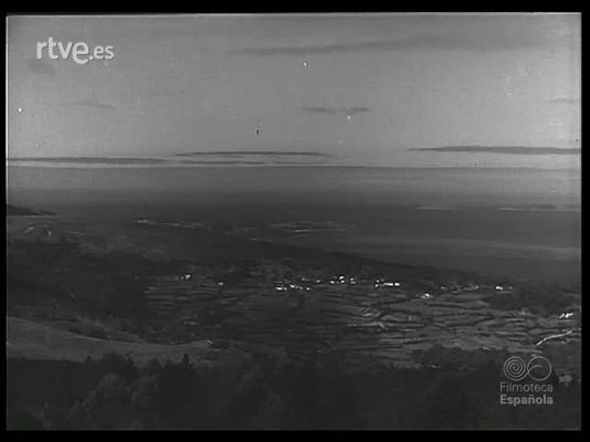 Revista Imágenes - REPOBLACION FORESTAL