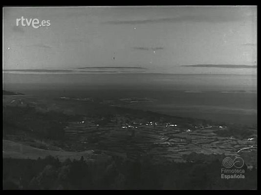 Revista Imágenes - REPOBLACION FORESTAL