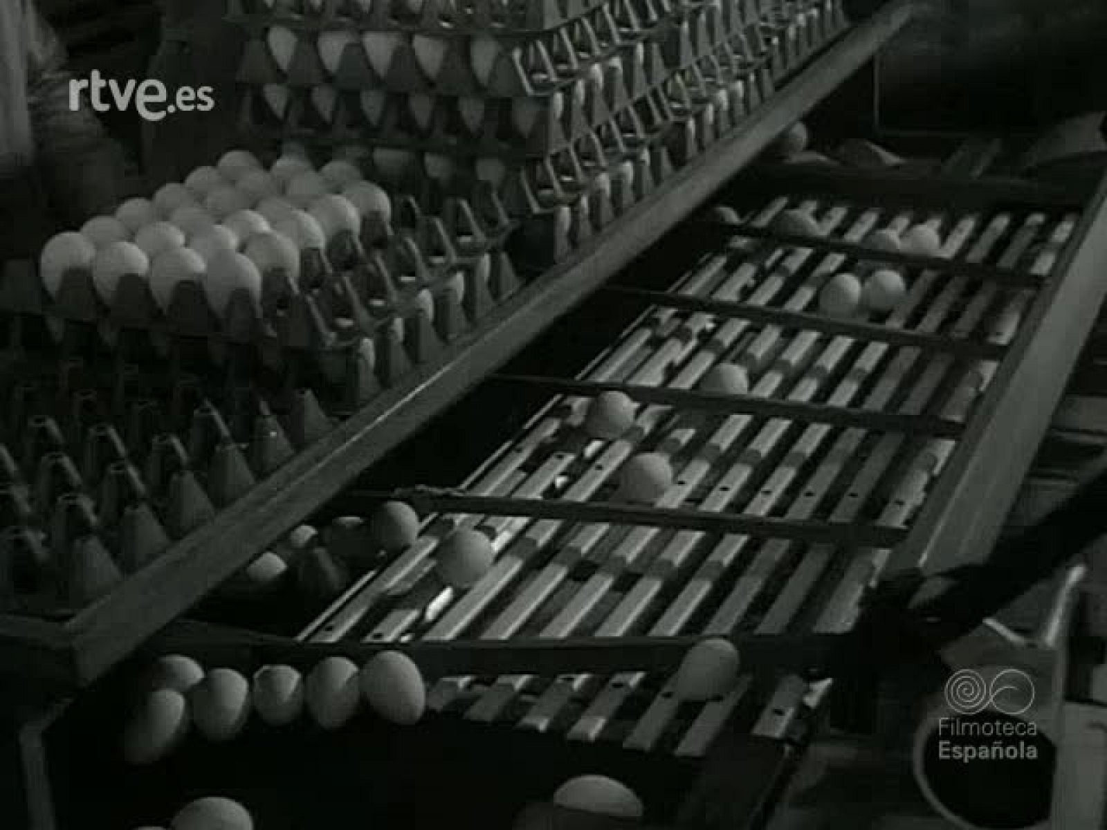 DE LOS ANIMALES UTILES - Revista Imágenes | Ver