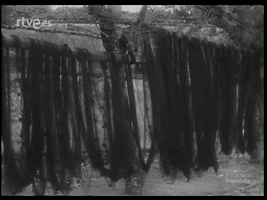 Revista Imágenes - CONTRASTES DE GALICIA