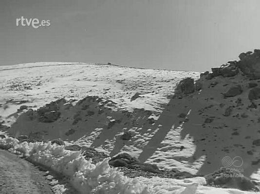 Revista Imágenes - DE LA NIEVE AL MAR