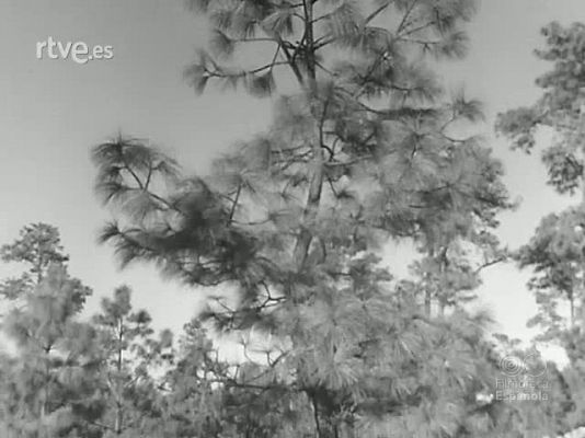 Revista Imágenes - TEMAS DE MEJICO