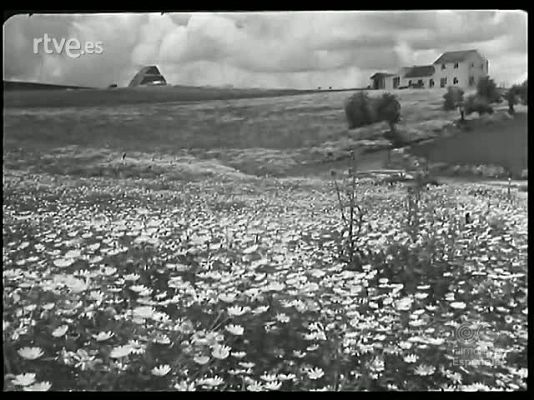 Revista Imágenes - TOROS Y CABALLOS