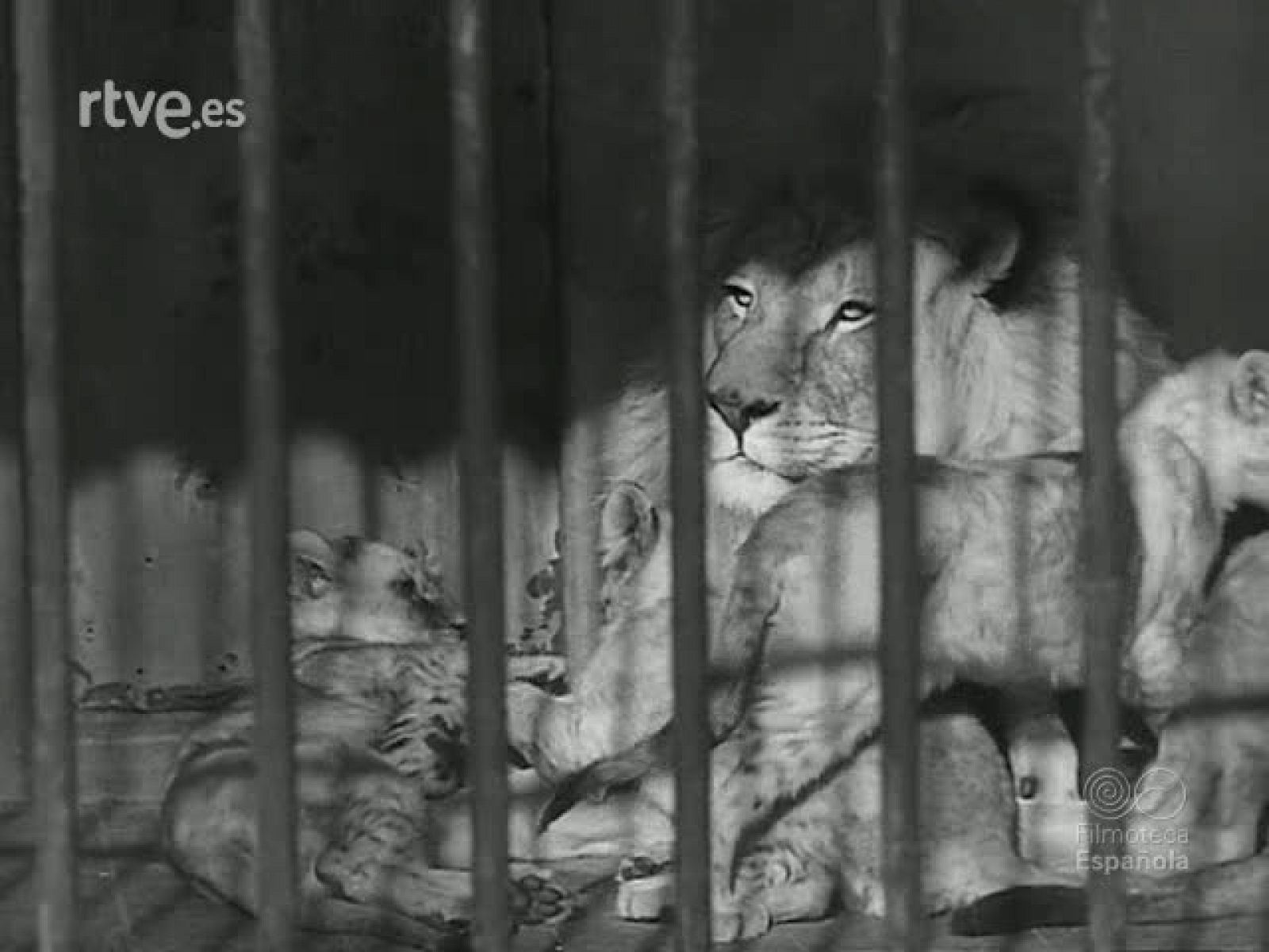 EL LIBRO INFANTIL - Revista Imágenes | Ver