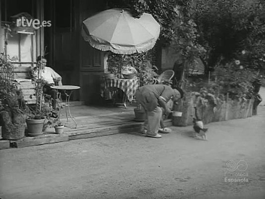 Revista Imágenes - ALBUM VARIADO