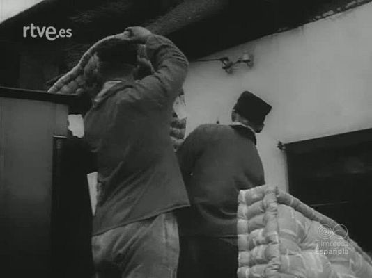 Revista Imágenes - VARIANTES HOLANDESAS