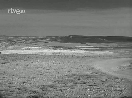 Revista Imágenes - AGUA EN MONEGROS