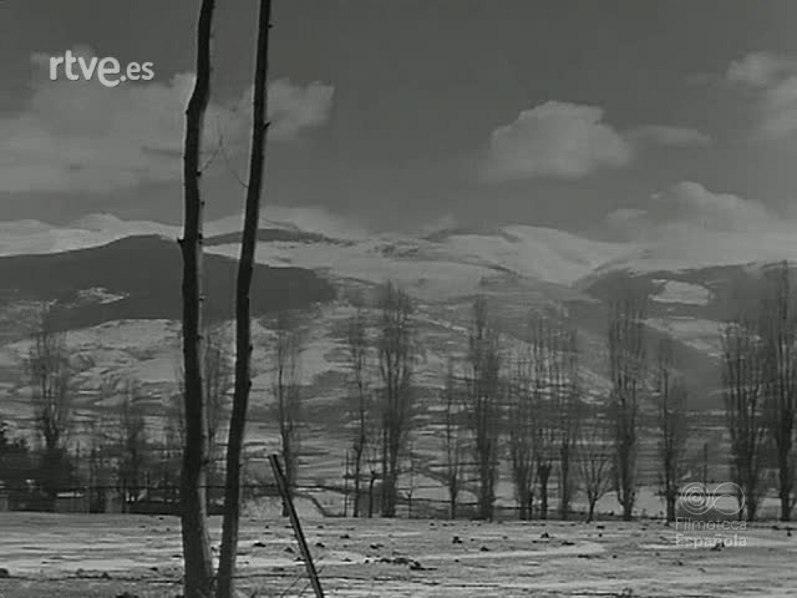 FRONDA Y NIEVE EN LA CERDAÑA - Revista Imágenes | Ver