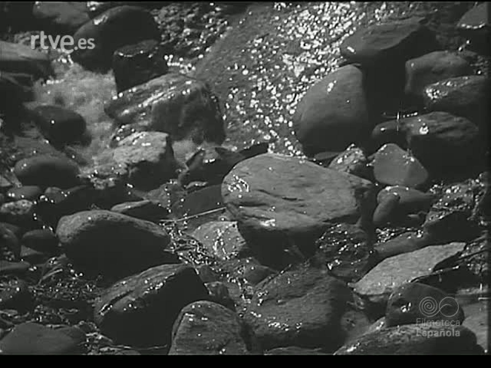 NUEVAS FUENTES ELECTRICAS : APROVECHAMIENTO DE LA CUENCA DEL NOGUERA RIBAGORZANA - Revista Imágenes | Ver