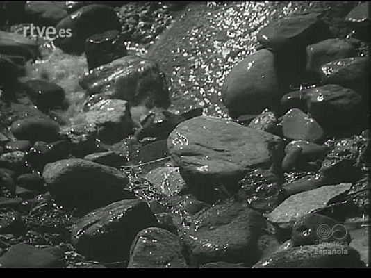 Revista Imágenes - APROVECHAMIENTO DE LA CUENCA DEL NOGUERA RIBAGORZANA