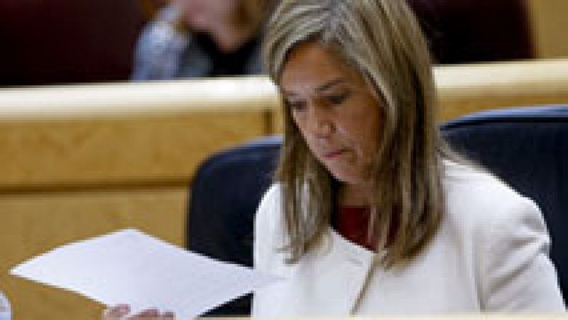Caso Gürtel: Ruz considera a la ministra Ana Mato 'partícipe a título lucrativo'