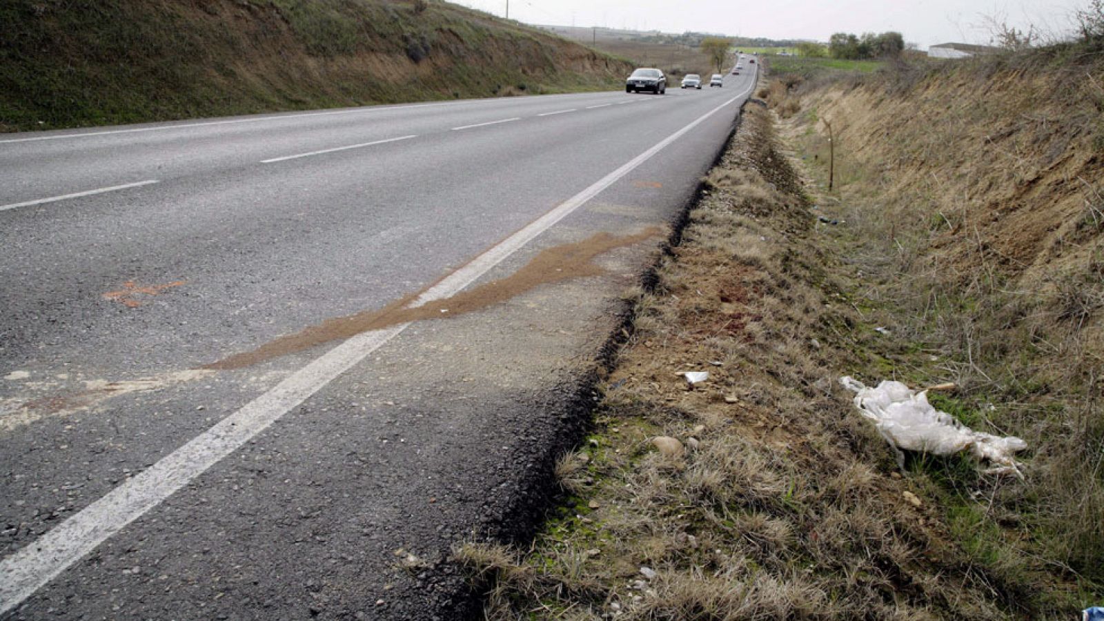La Guardia Civil ingresa en prisión al autor del atropello de tres niñas en Fuensalida para evitar que lo linchen