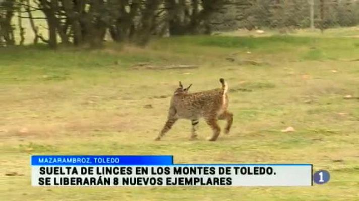 Noticias de Castilla-La Mancha - Noticias de Castilla-La Mancha - 26/11/14