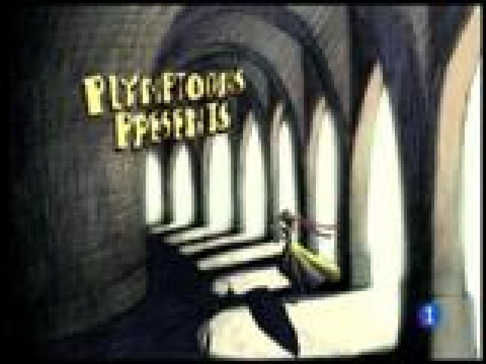 Panorama Regional 2 - 26/11/14 | Ver