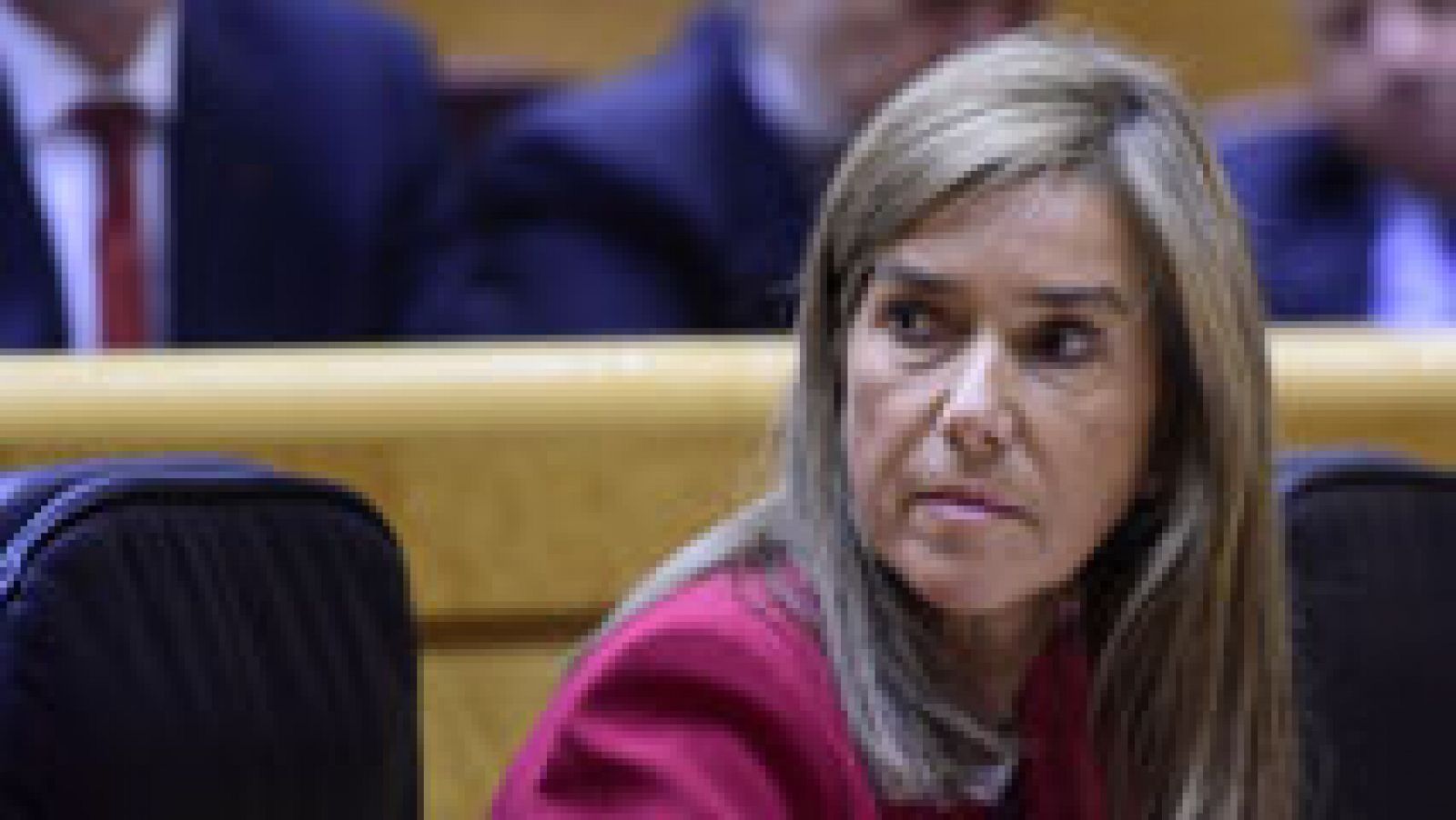Telediario 1: Reacciones de la oposición a la dimisión de Ana Mato | RTVE Play