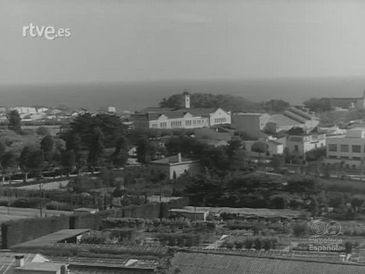 Revista Imágenes - MEDIAS SIN COSTURA