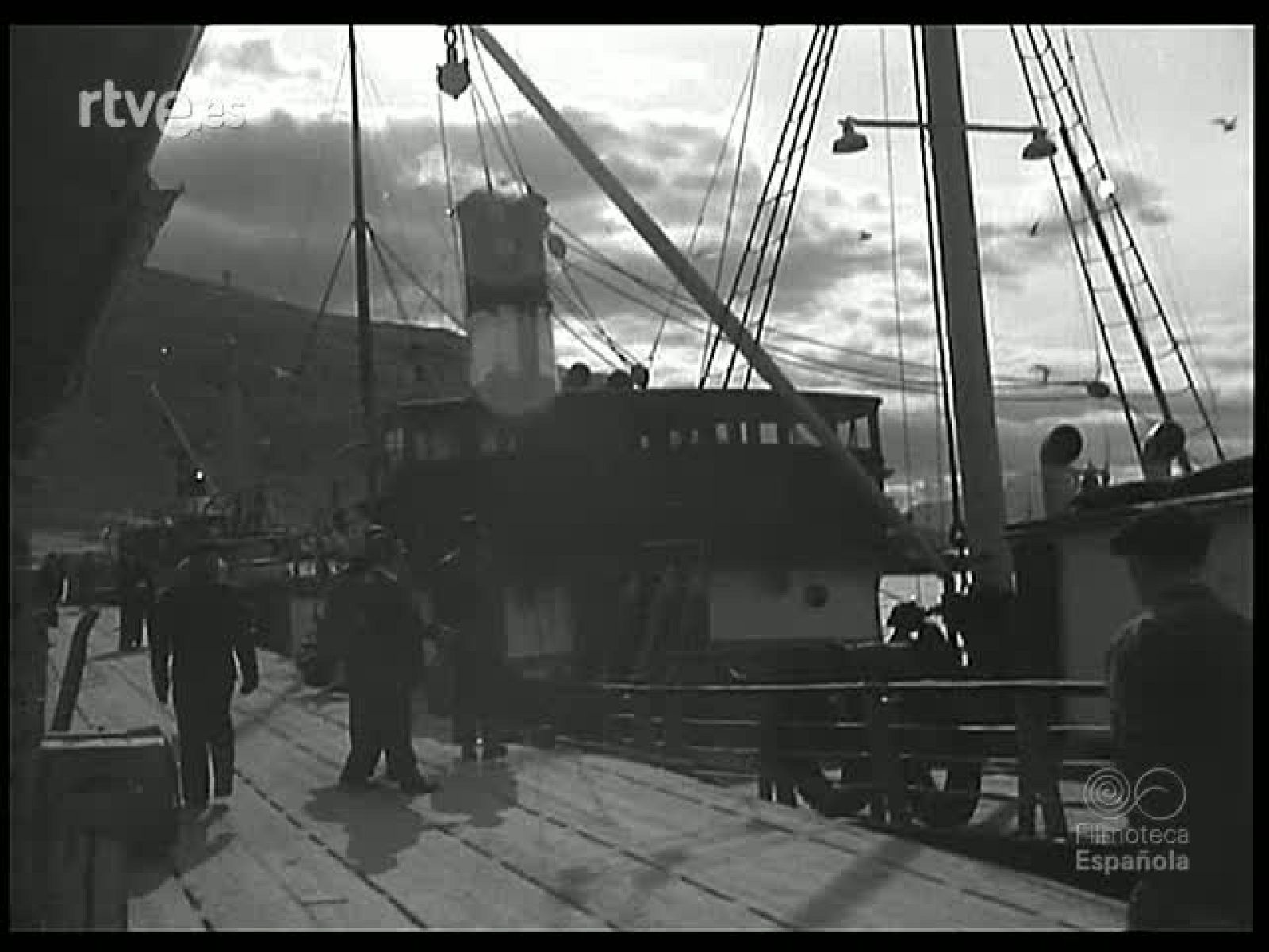 CAZANDO EL OSO POLAR - Revista Imágenes | Ver