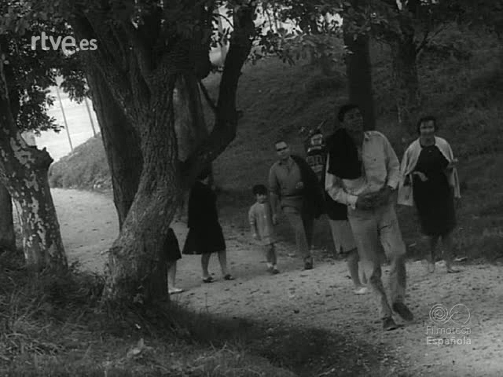 ARTE RUPESTRE EN MADRID - Revista Imágenes | Ver