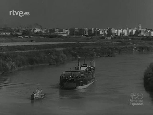 Revista Imágenes - ZOOLOGIA PINTORESCA