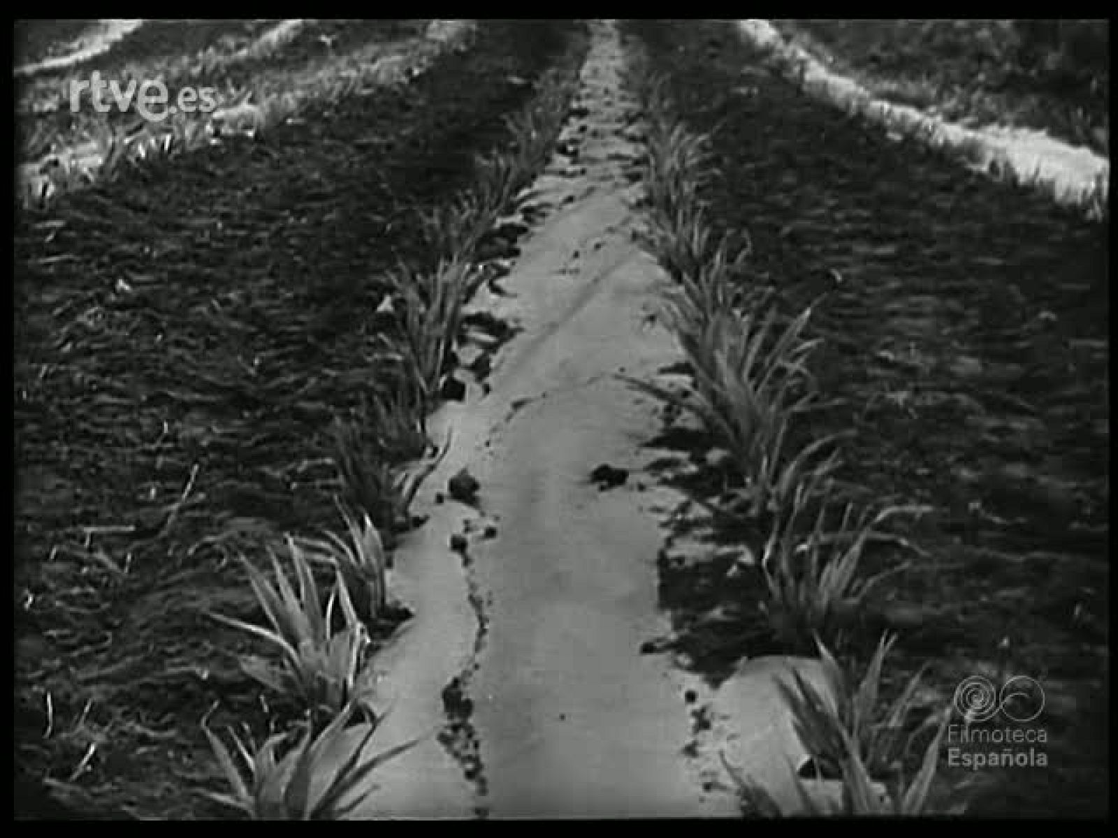 EN UN SITIO Y EN OTRO - Revista Imágenes | Ver