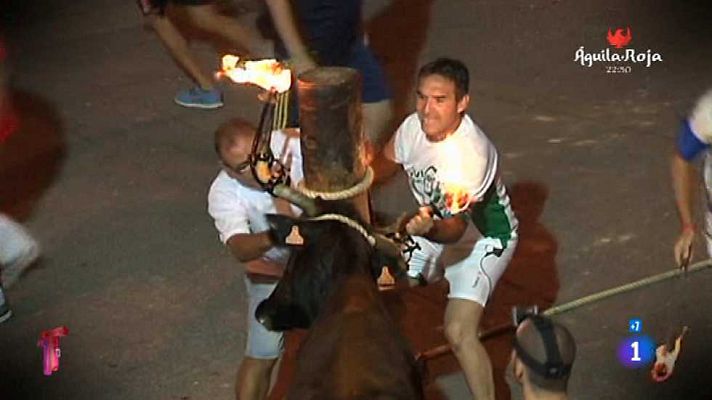 T con T - T con T - 27/11/14