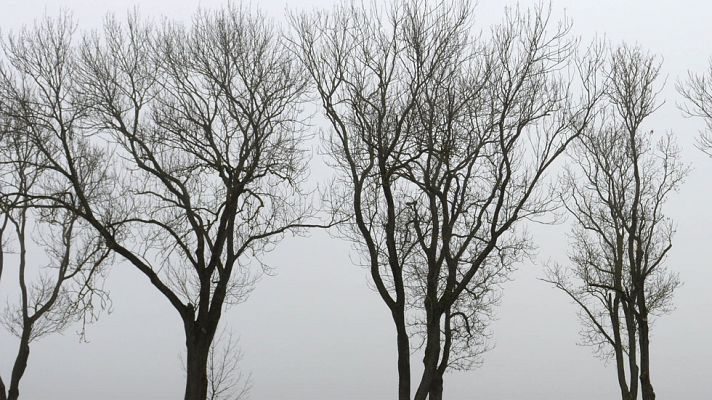 El tiempo - Cielo muy nuboso en la mayor parte de España