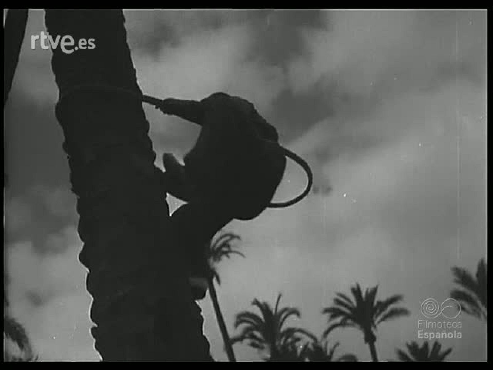 EXPRESIONES DE LA FE - Revista Imágenes | Ver