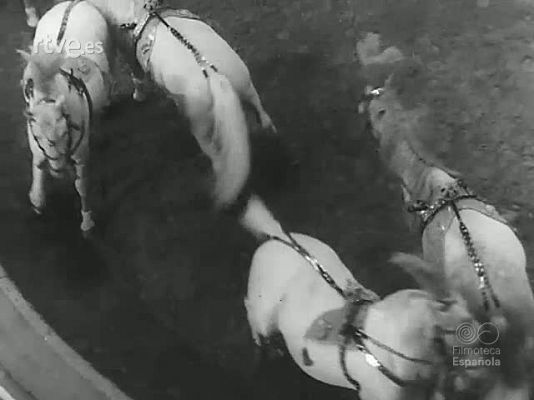 Revista Imágenes - CIRCO Y PANTOMIMA