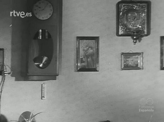 Revista Imágenes - ACUARIOS PECES Y REDES