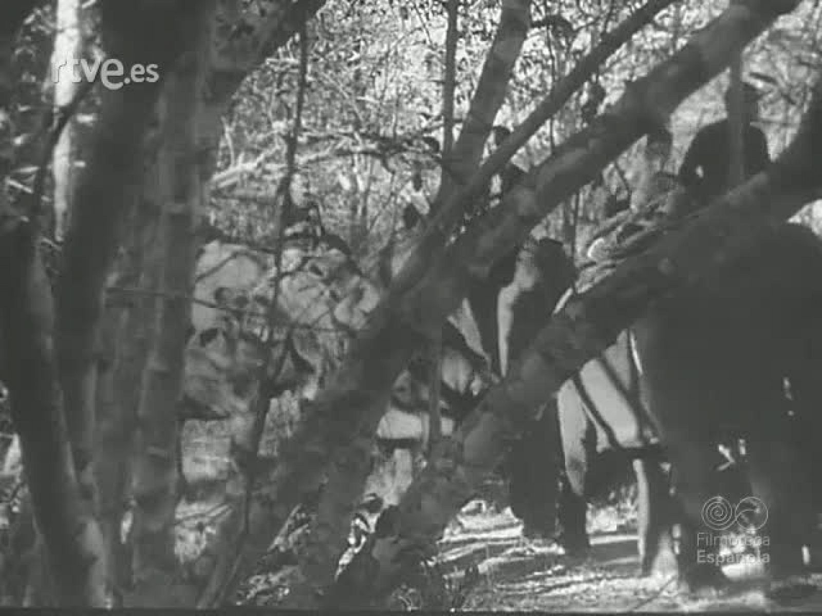 EL ORO Y LA PAZ - Revista Imágenes | Ver