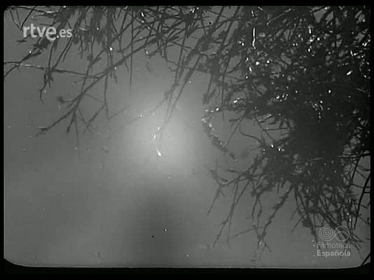 Revista Imágenes - UNA PLAGA BIBLICA